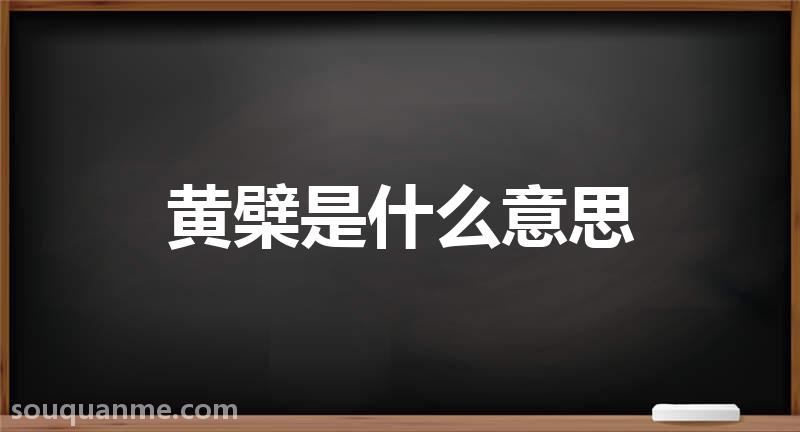 黄檗是什么意思 黄檗的读音拼音 黄檗的词语解释